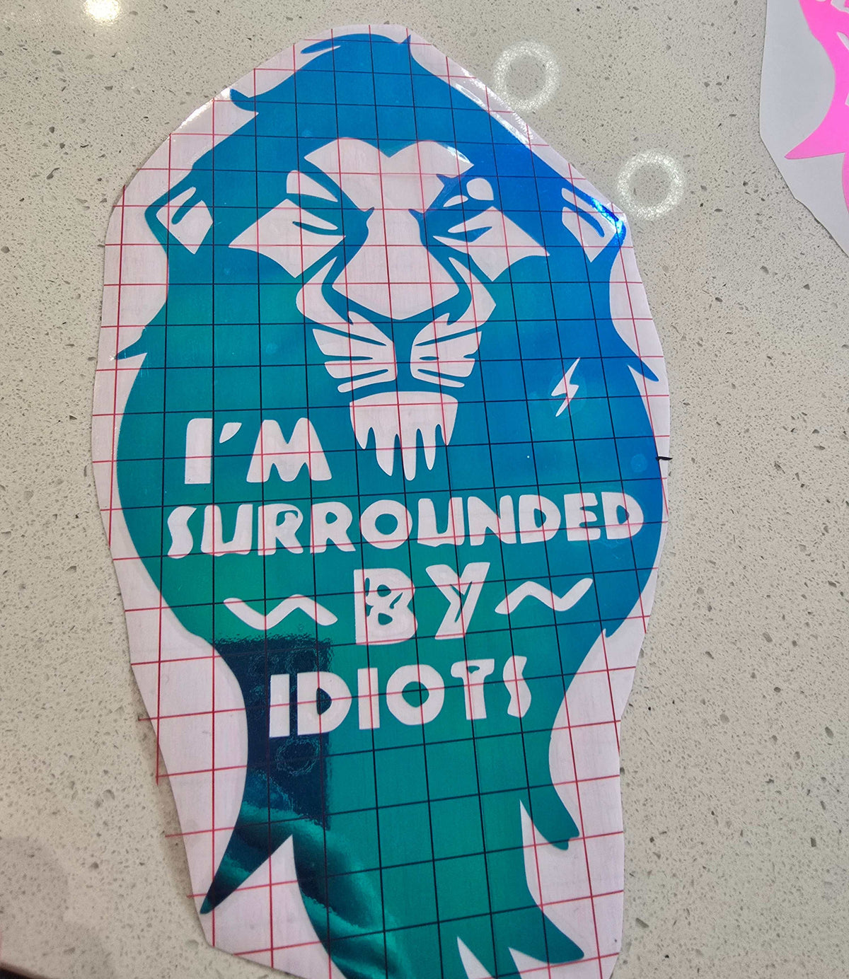 surrounded by idiots