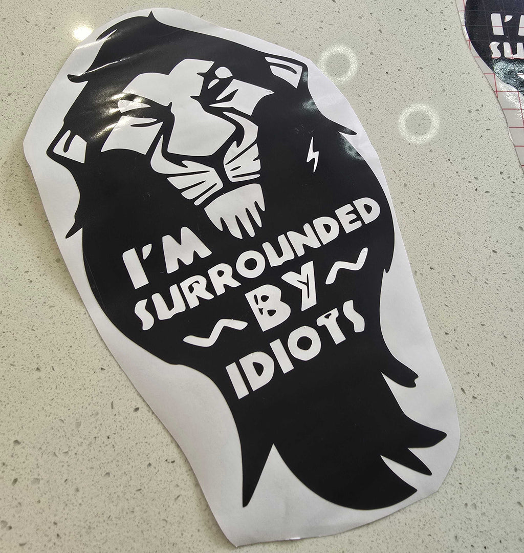 surrounded by idiots