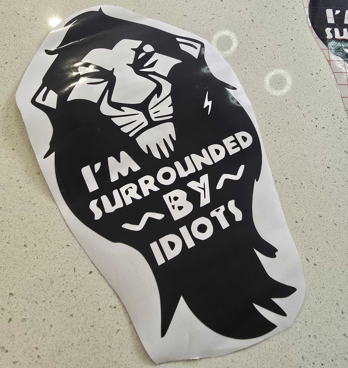 surrounded by idiots