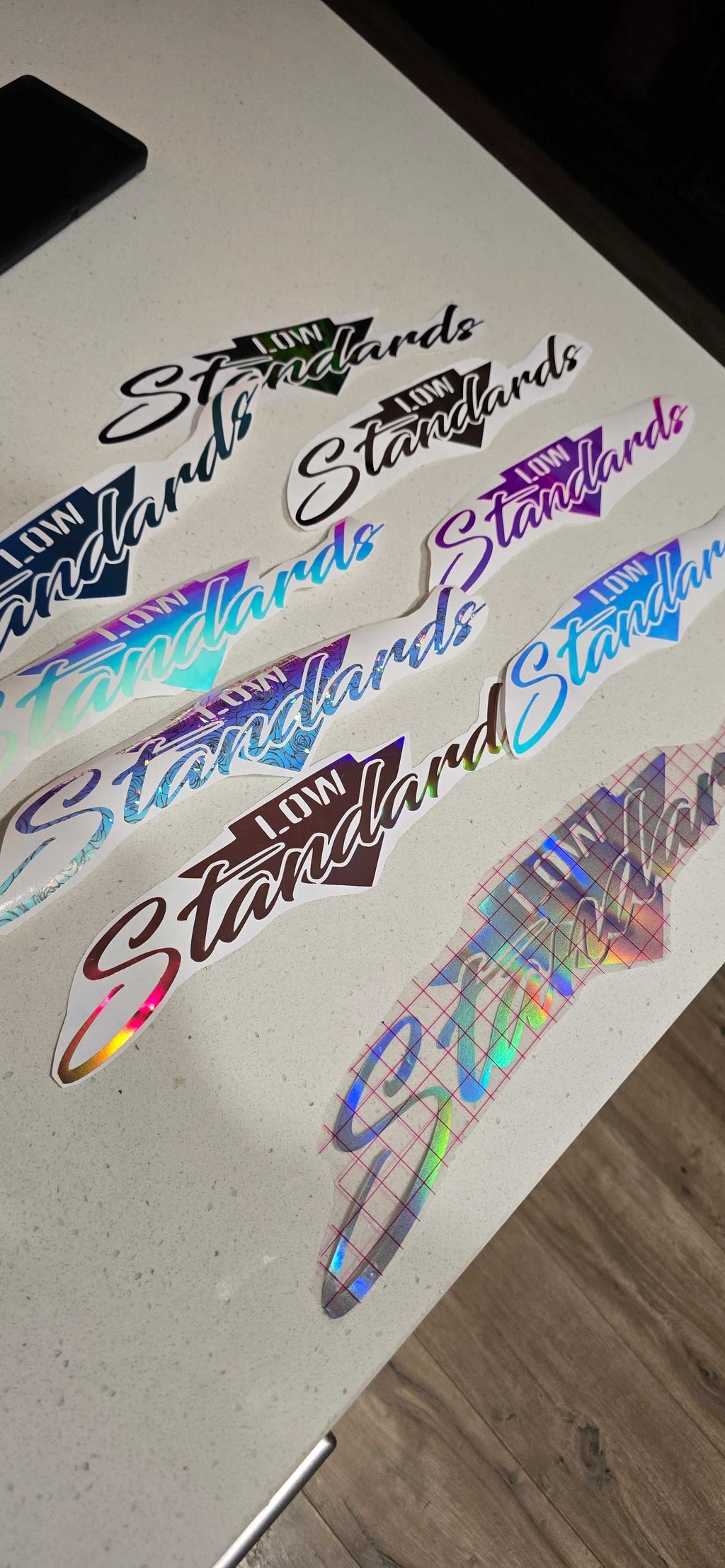 Low Standards Car Decor decal for lowered car enthusiasts with premium vinyl and weather resistance