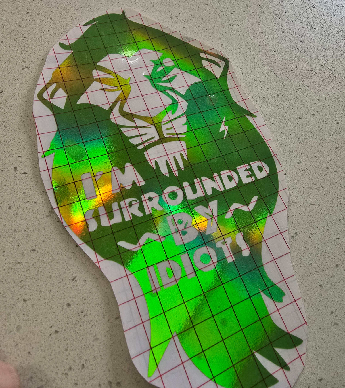 surrounded by idiots