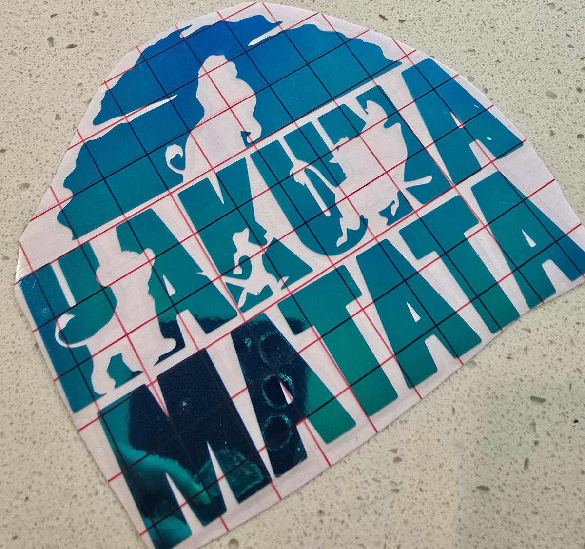 hakuna matata lion king inspired