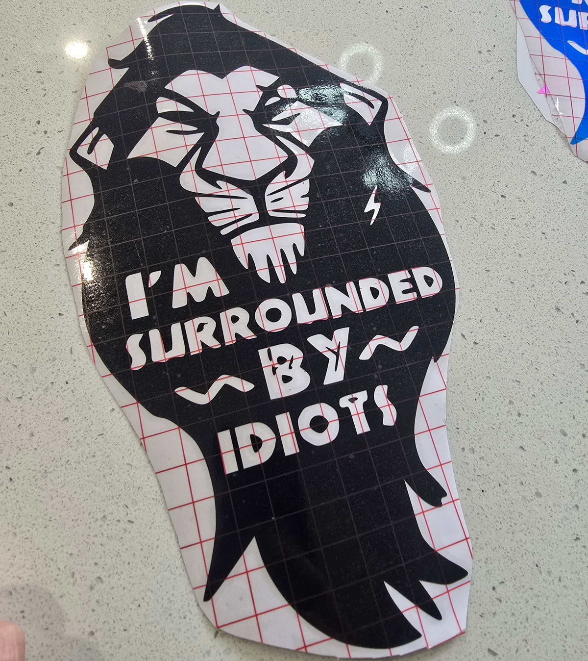 surrounded by idiots